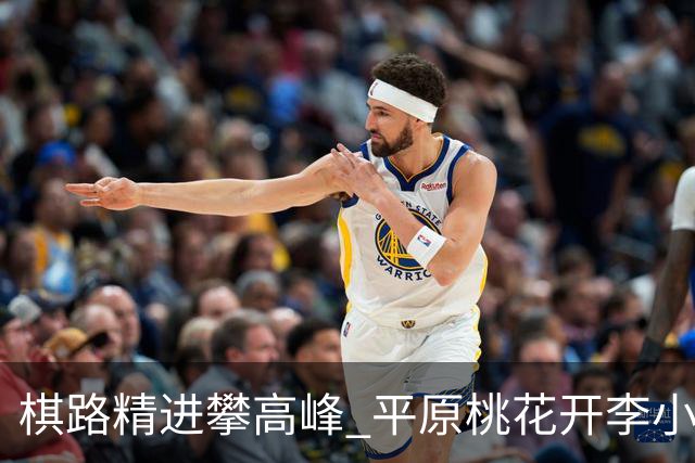 棋路精进攀高峰 平原桃花开李小溪荣升六段